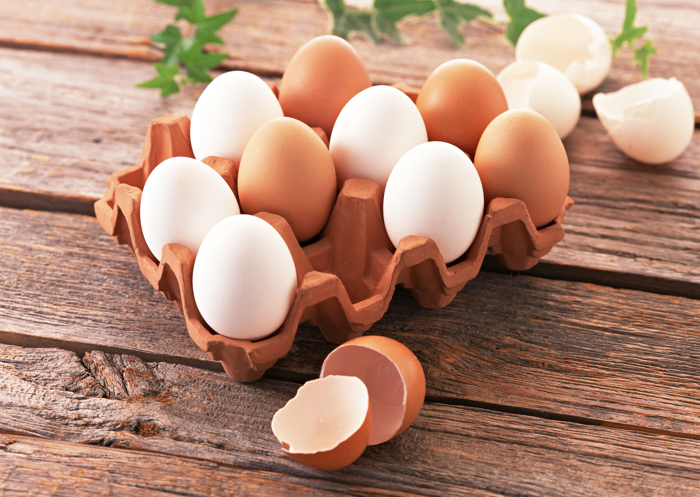 منتجات البيض السائلة المُبرّدة
