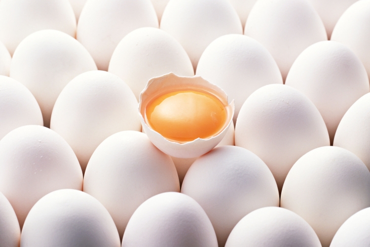 منتجات البيض المجفّفة